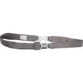 Allstar Performance 2-Point Seat Belt, Gray AL374876